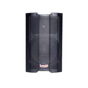 ALTAVOZ AMPLIFICADO P15AH-DSP: imagen 1