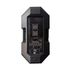 🔊 Cabina Activa Spain Audio Zeta3 15″: imagen 2