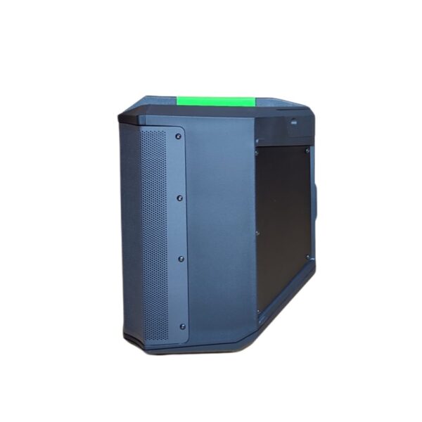 Sistema de sonido P1go