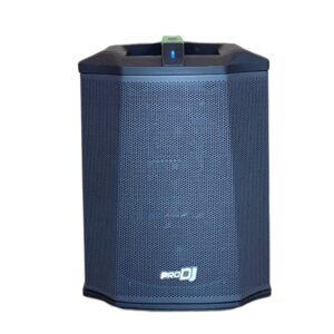 Sistema de sonido P1go: imagen 1