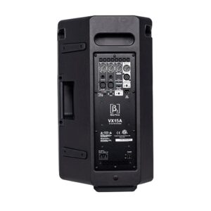 Altavoz VX15A BETA THREE: imagen 2